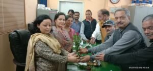 WhatsApp Image 2021 03 08 at 2.55.57 PM 1