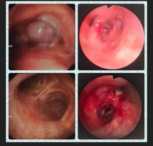 WhatsApp Image 2021 08 03 at 6.58.59 PM 1