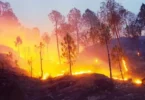 Huge fire in the forests of Uttarakhand