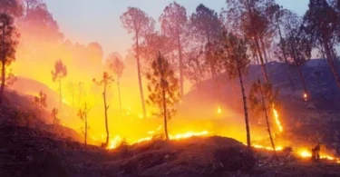 Huge fire in the forests of Uttarakhand