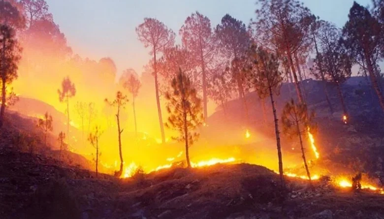 Huge fire in the forests of Uttarakhand