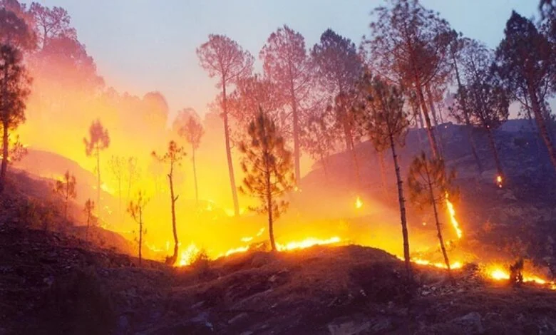 Huge fire in the forests of Uttarakhand