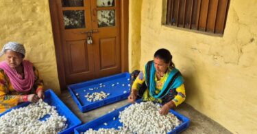 Kumaon hills silk production