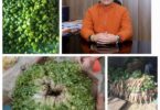 cooperative project