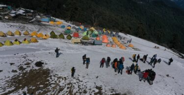 New Year buzzes with tourists