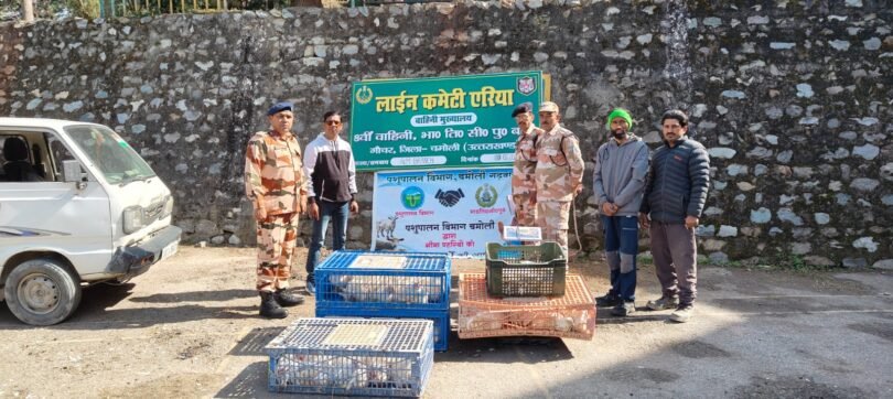 Animal Husbandry