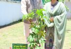 world environment day