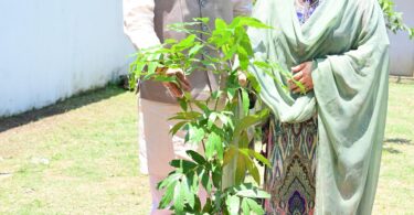 world environment day