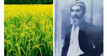 Dehradun Basmati