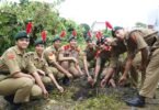 Plantation at SGRR on Harela