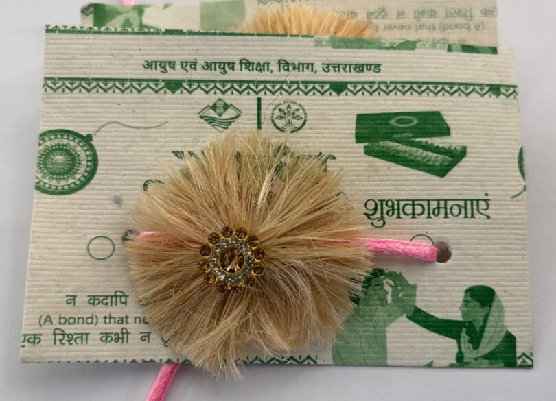 Eco Friendly Seed Rakhis