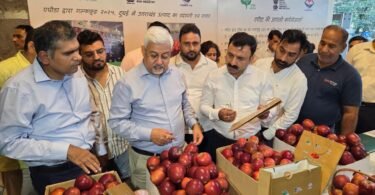 Garhwali apple export