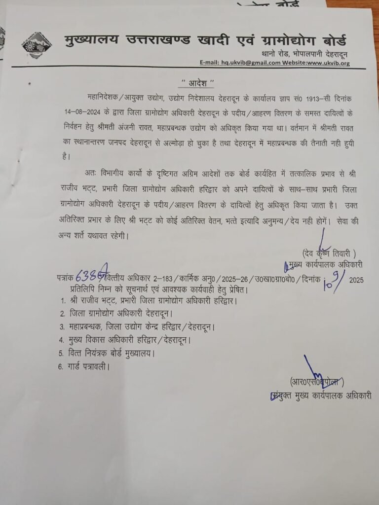 District Village Industries