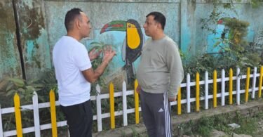 Review of beautification works