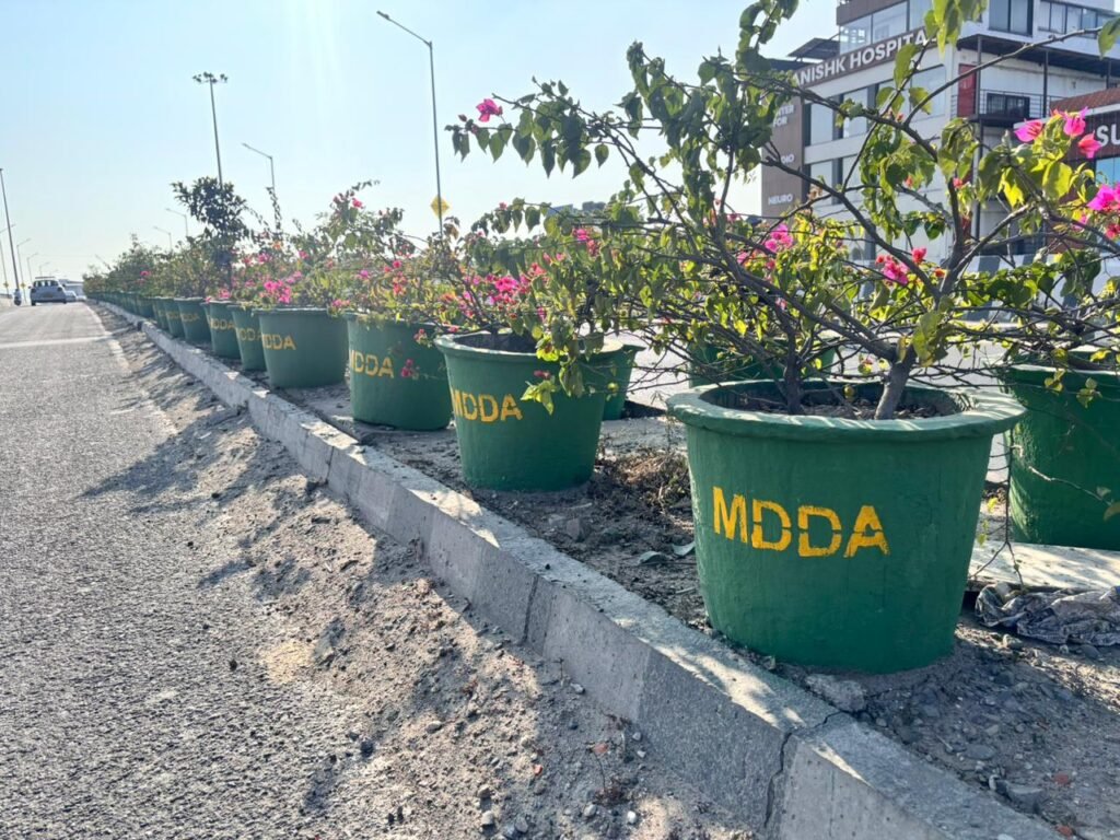 Review of beautification works