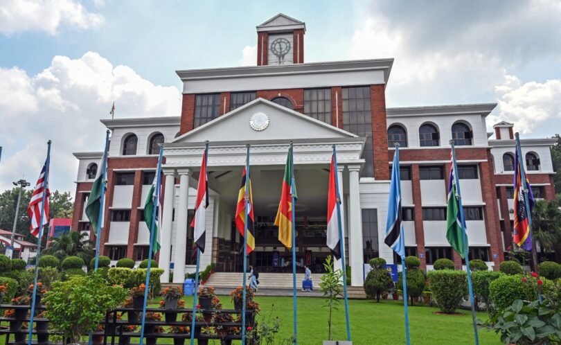 Survival in the Graphic Era दे