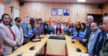 Looking Back-Looking Forward