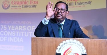 Judicial Independence in Democracy