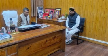 Urban Beautification Project