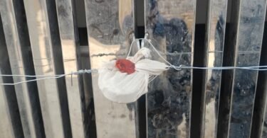 Bulldozer runs on illegal plotting