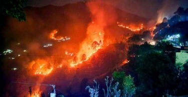 forest fire prevention efforts