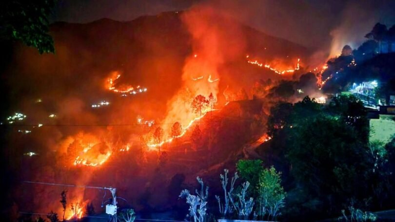 forest fire prevention efforts