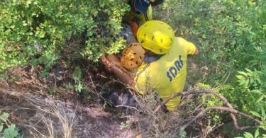 Vehicle Fell Into Gorge