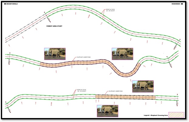 Rajaji Reserve Wildlife Corridor