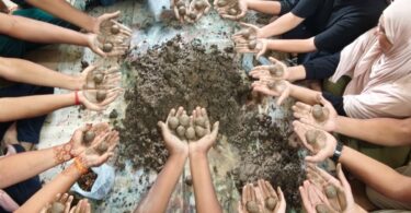 Seed Ball Training