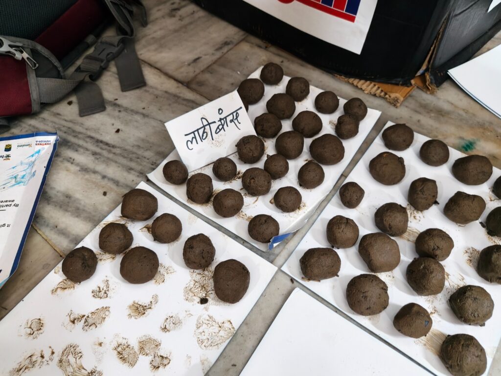 Seed Ball Training