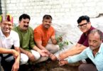 Tree plantation